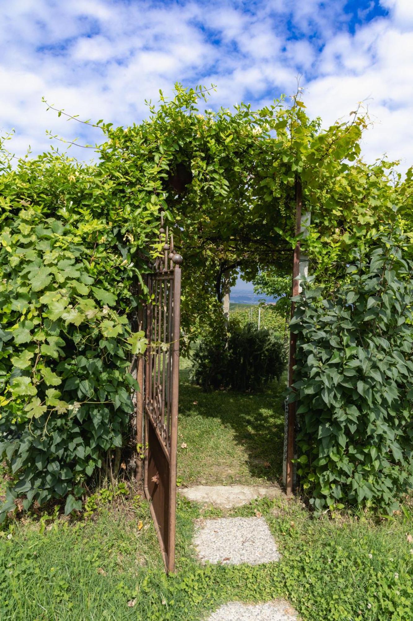 La Cantinella Country House 라모라 외부 사진