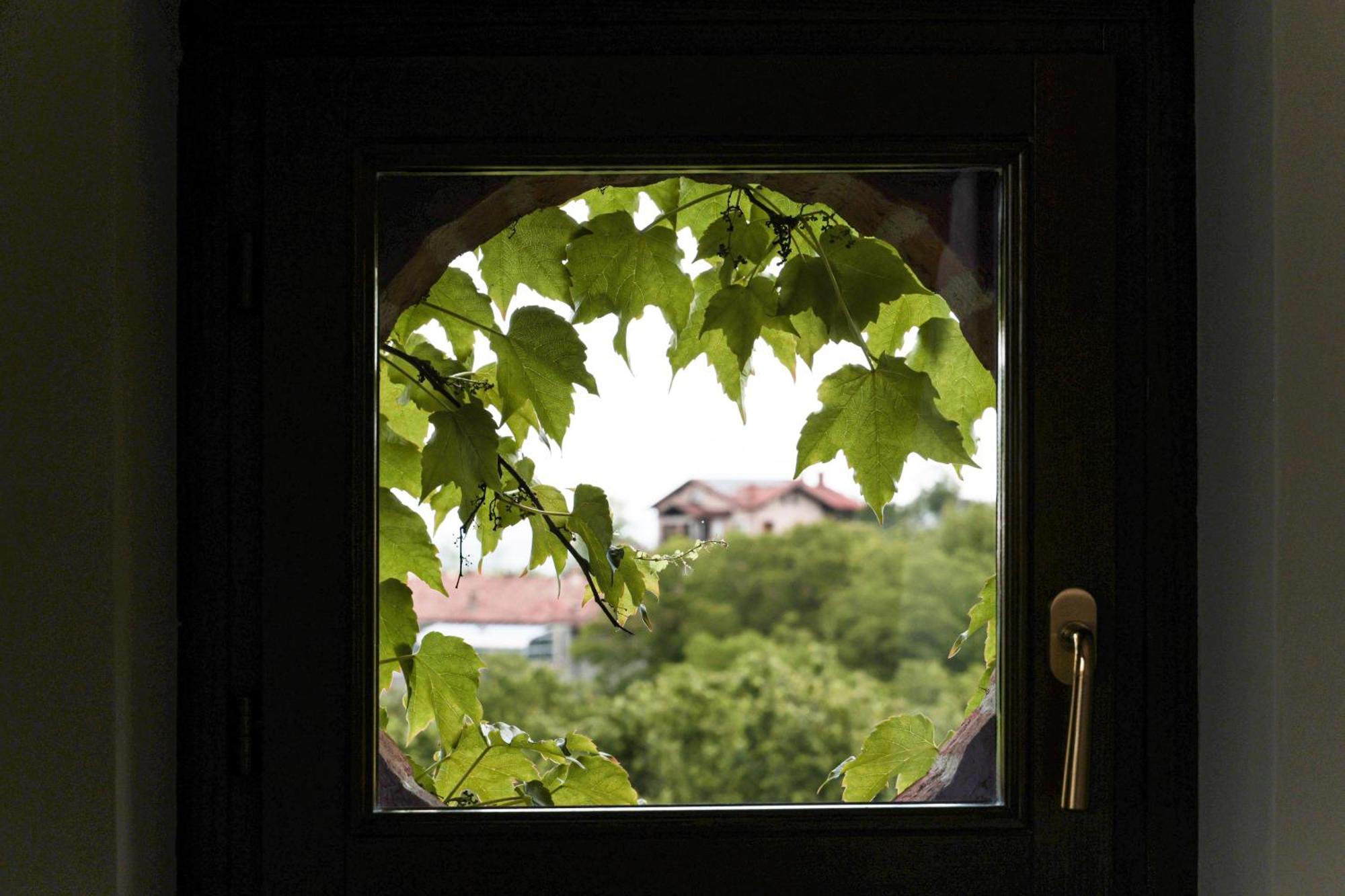 La Cantinella Country House 라모라 외부 사진